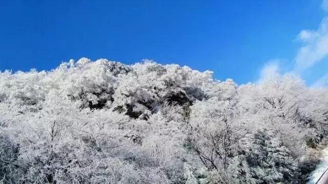 像素排球大作战